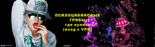 ECSTASY Абаза