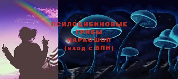ECSTASY Абаза