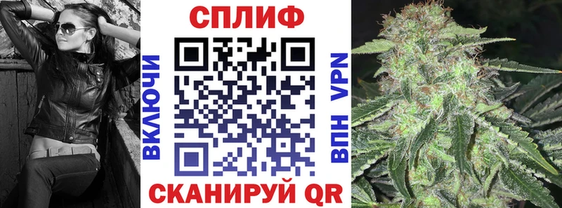 Бошки Шишки ГИДРОПОН  Полярный 